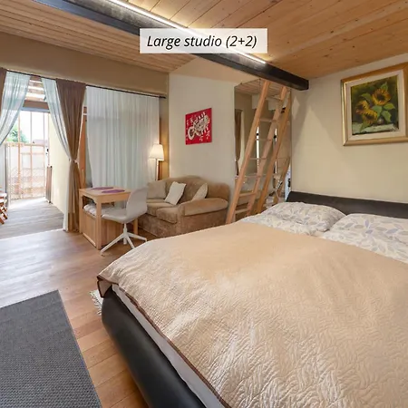 Apartman Iq Wood *