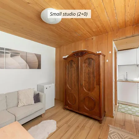 Iq Wood Apartament Lublana