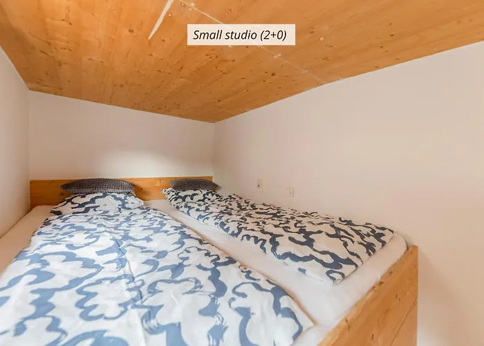 Iq Wood Appartement *